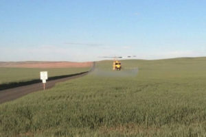 Agricultrural Spraying 5